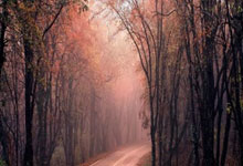 开云体育官网-阿尔艾因防线协作提升，力求限制攻击