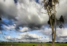 开云体育APP下载-阿森纳的无奈投降，施耐德林的关键破门