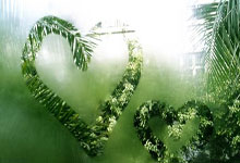 开云体育官网-阿尔艾因防线协作提升，力求限制攻击