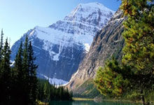 开云体育官网-阿尔艾因防线协作提升，力求限制攻击