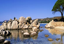 开云体育-安菲尔德暗夜！利物浦双线溃败之谜：客场虫化与王朝崩塌前兆