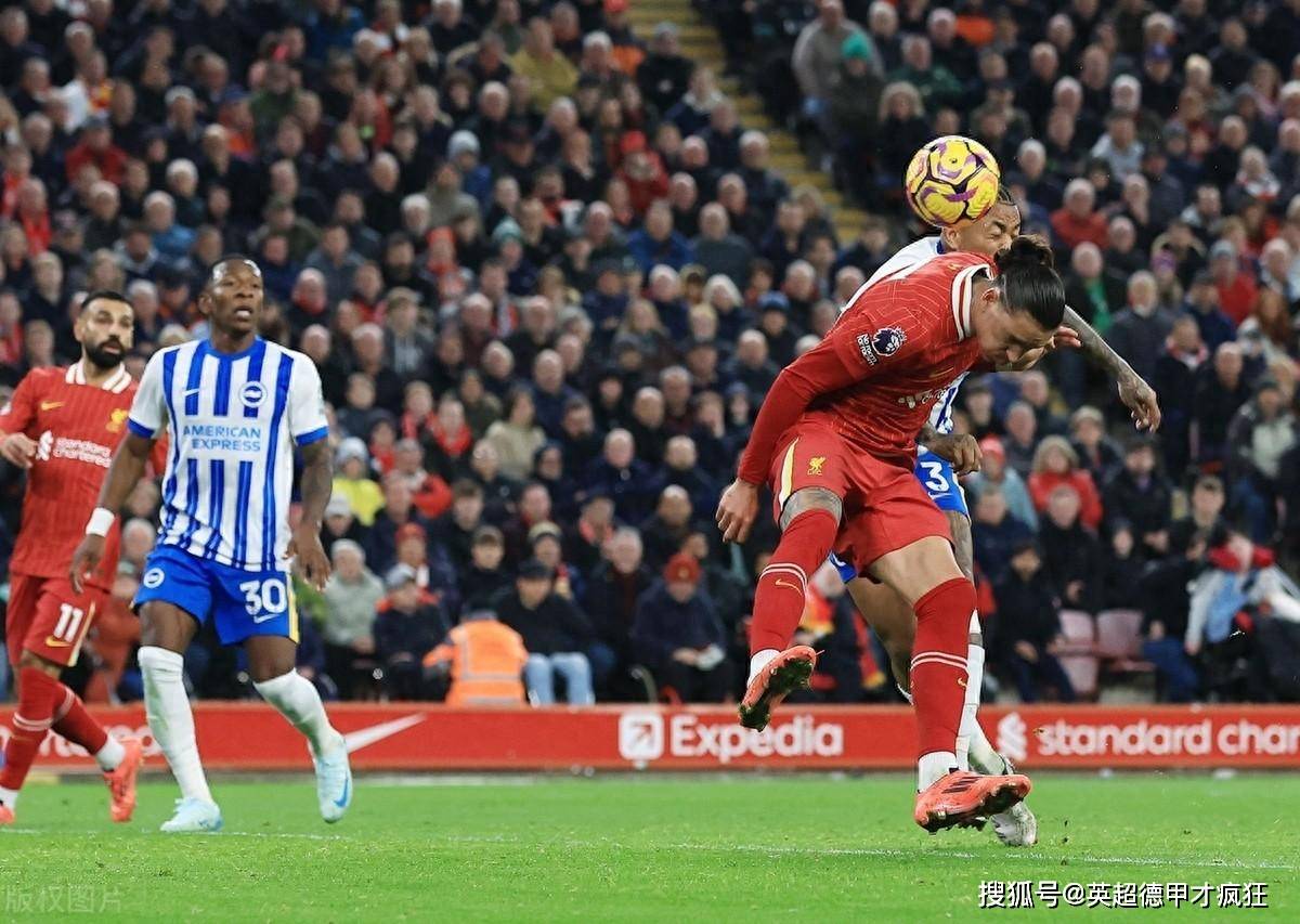布莱顿外援造险,球队面临伤病危机!的简单介绍 布莱顿外援造险,球队面临伤病危机!的简单介绍
