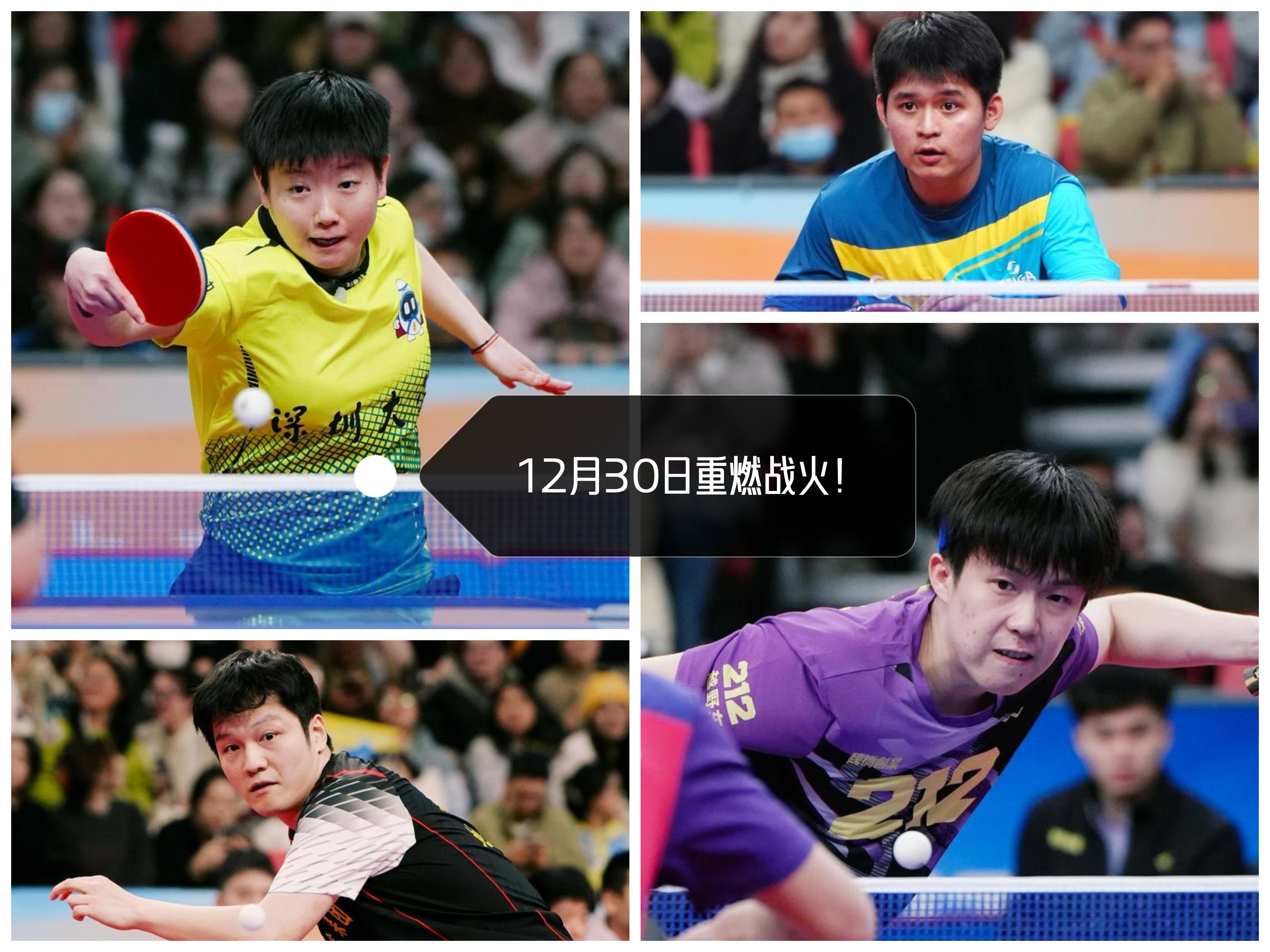 终极之夜!乒乓球冠军悬念即将揭晓 终极之夜!乒乓球冠军悬念即将揭晓