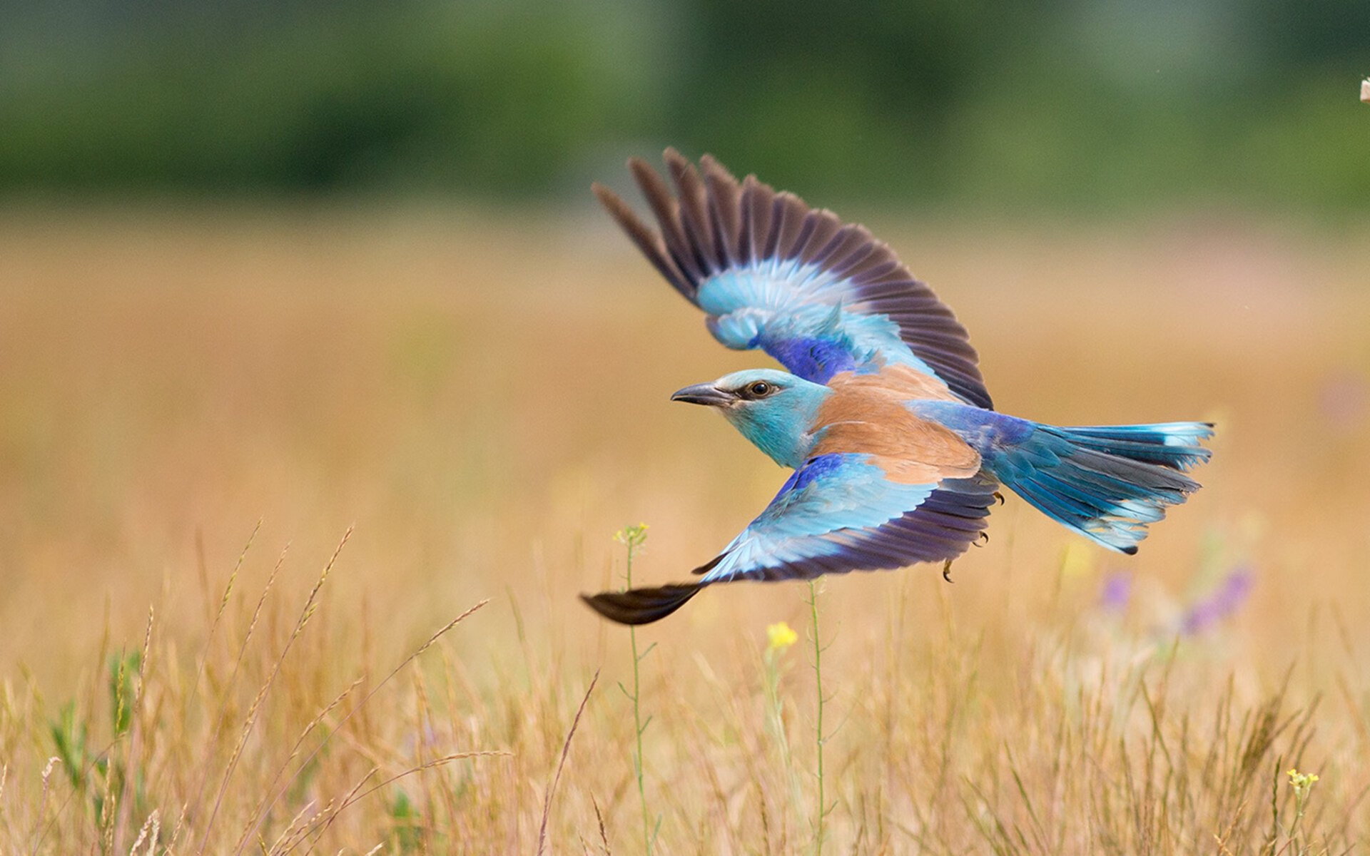 开云体育-史诗对决！篮网攻破北境坚城强势晋级