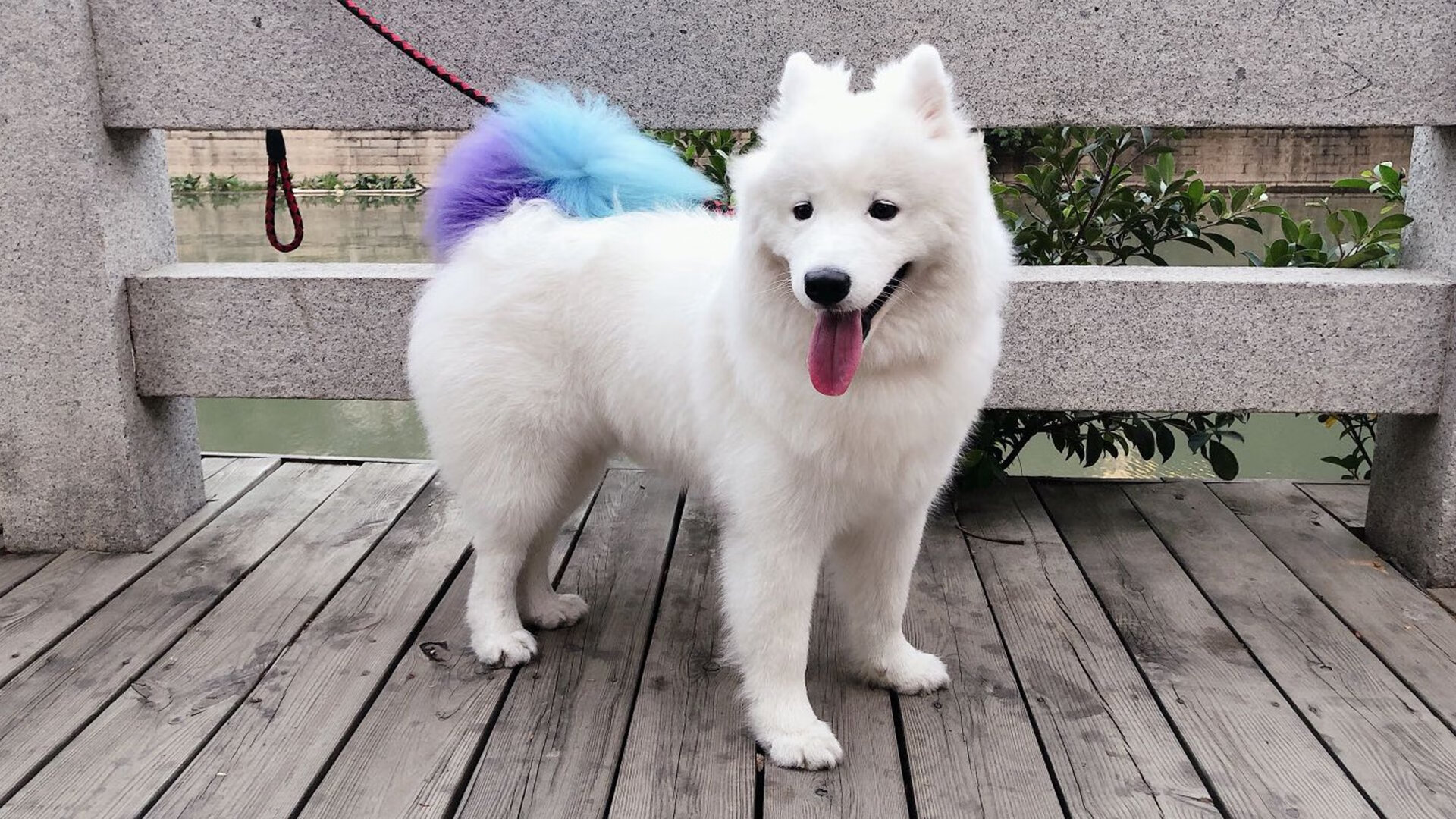 开云体育下载-鹈鹕斩落爵士展团队锋芒，塔图姆关键先生显领袖本色—NBA赛场双星闪耀引风云