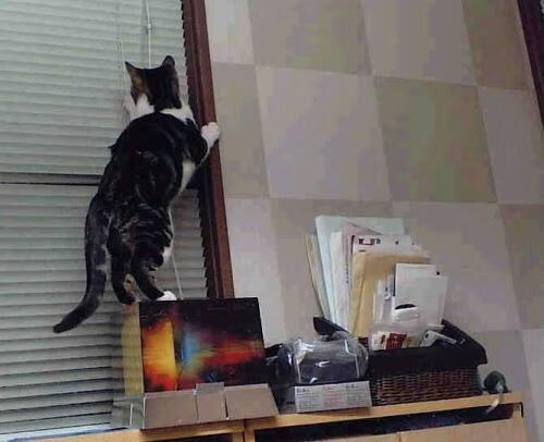 开云体育APP下载-乌拉圭带走摩洛哥，罗德里成为关键先生，一粒进球与一个时代的重量