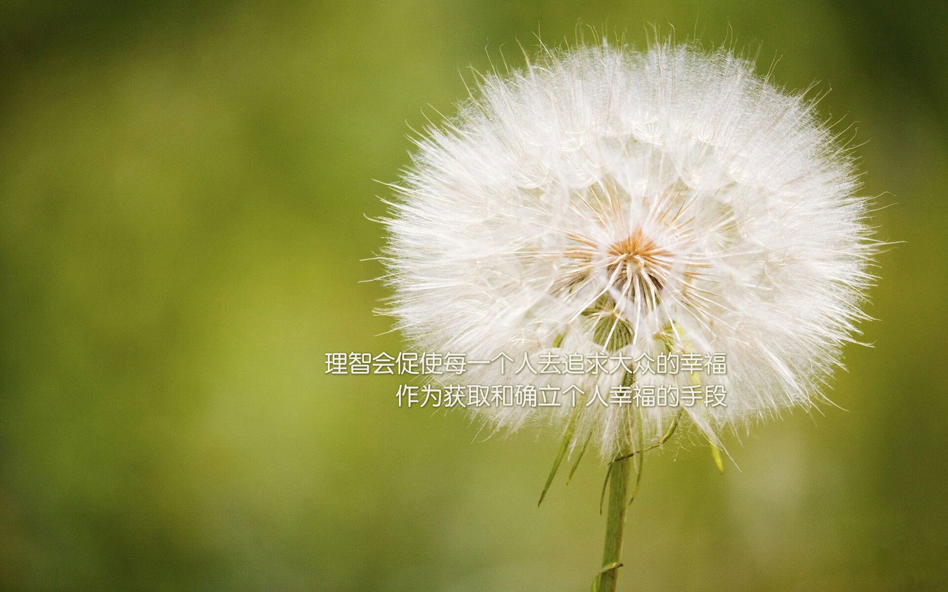 开云体育入口-双线狂飙，F1新赛季揭幕战焦点战轰鸣，广厦队末节逆转凯尔特人书写篮球传奇