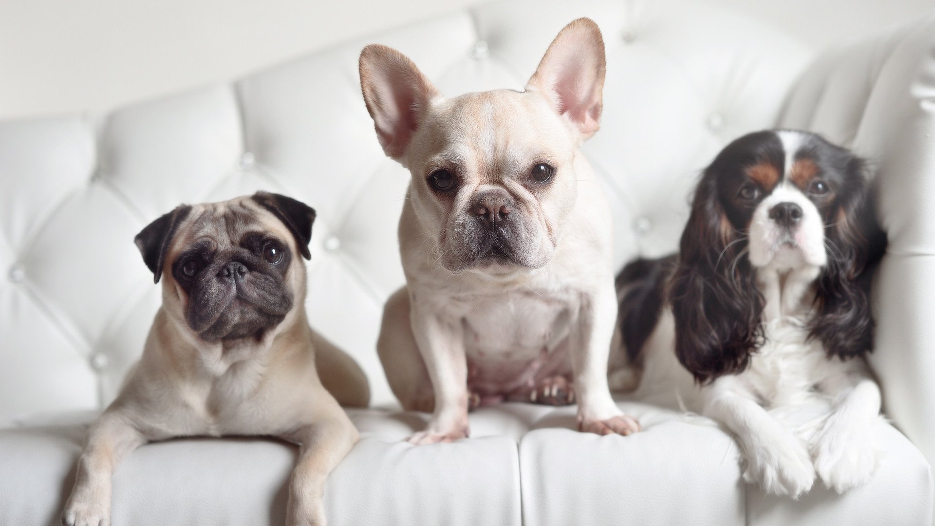 开云体育中国-乔治末节天神下凡，吉林队生死战险胜公牛