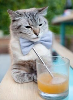 开云体育入口-西决生死战之夜，天使审判伯纳乌，迪马利亚于寂静处奏响最狂放的流放者之歌