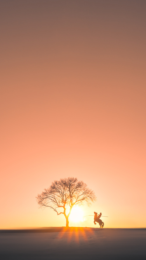 狼嚎响彻北岸花园，范弗利特致命一击绞杀绿军不败金身