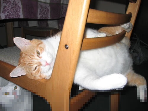 关键先生的非洲密码，尼日利亚完胜勒沃库森的背后，富安健洋的跨文化足球智慧