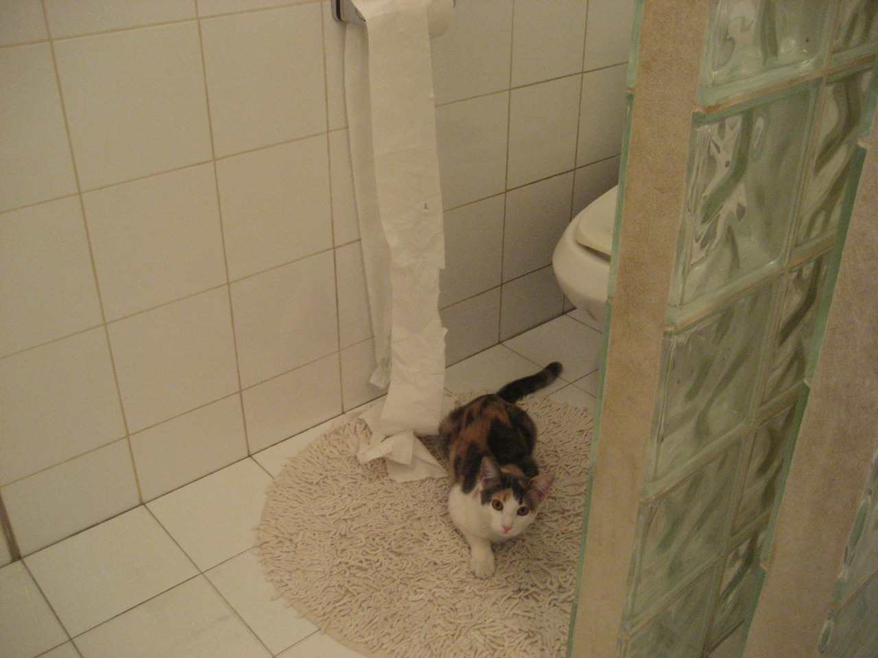 东契奇统治全场,凯尔特人轻取山西队