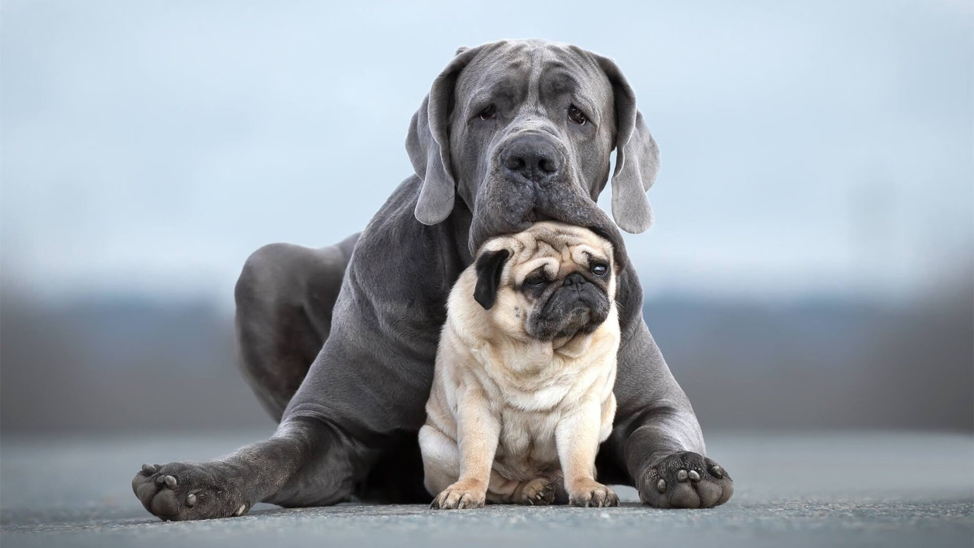掌控之弦，孔德如何在皇家社会对阵丹麦之战中扛起全队